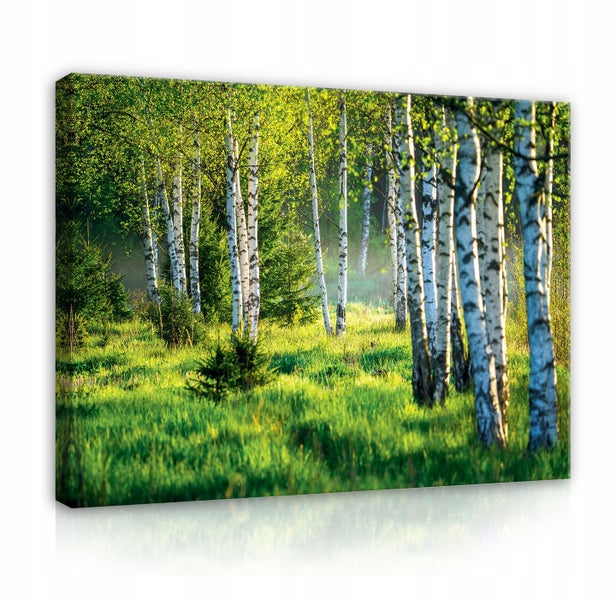 Bilder Wald Natur Modern Leinwandbild Wohnzimmer 120X80 cm