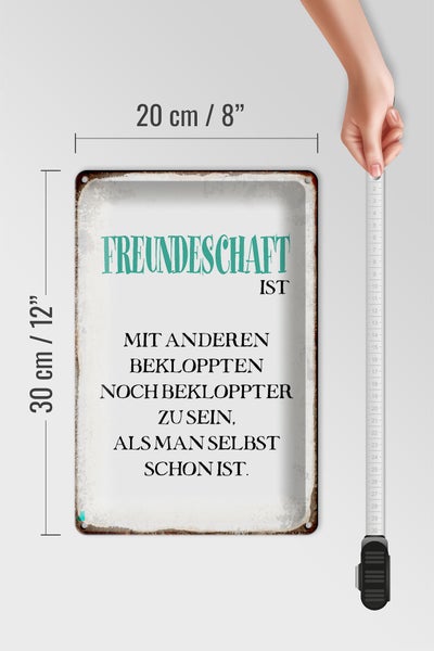 Blechschild Spruch 20x30cm Freundschaft ist mit anderen