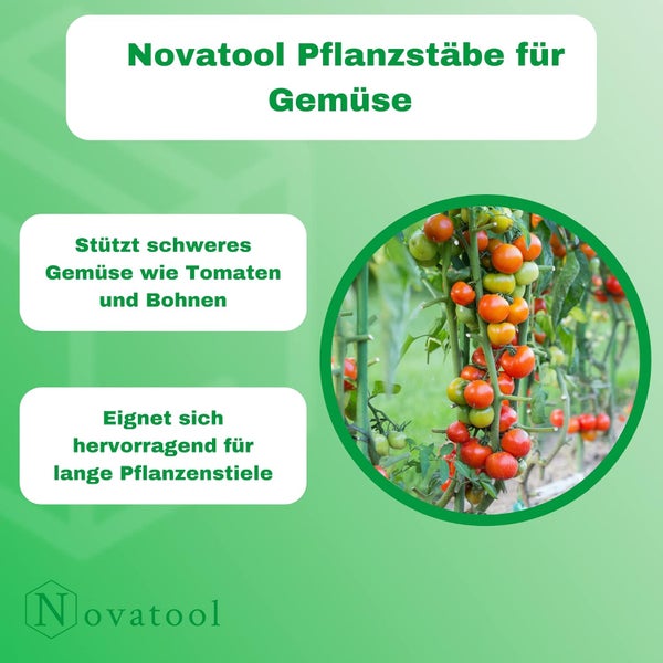 Novatool Pflanzstäbe für Gemüse, ideal als Rankhilfe für Tomaten und Bohnen, unterstützt lange Pflanzenstiele. Novatool Logo.