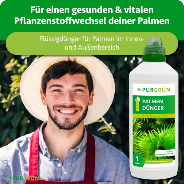Purgrün Palmendünger 1 Liter