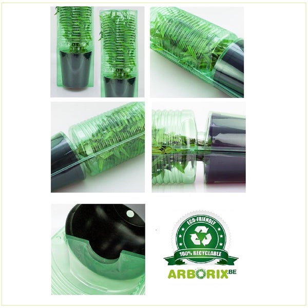 Pflanze in recycelbarer Verpackung