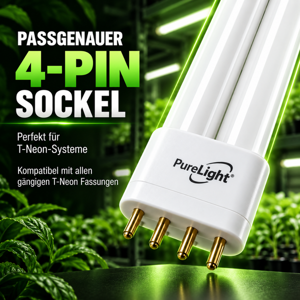 PureLight Kompaktleuchtstofflampe mit 4-Pin Sockel für T-Neon Systeme