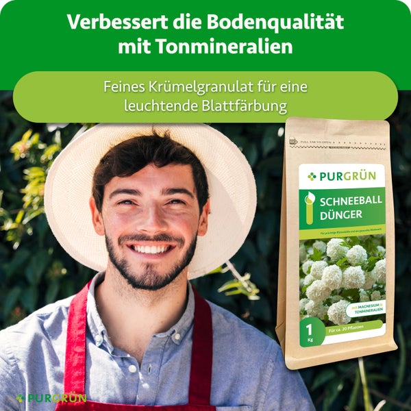 Ein glücklicher Gärtner mit Hut und Purgrün Schneeballdünger in der wiederverschließbaren Ein Kilogramm Verpackung vor einem Blattgrün Hintergrund.