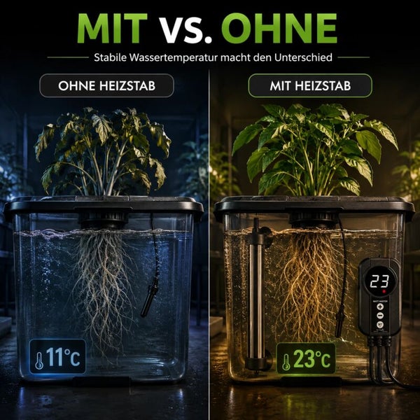 Vergleichsbild eines Hydroponik Systems ohne und mit Heizstab zur Stabilisierung der Wassertemperatur für optimales Pflanzenwachstum.