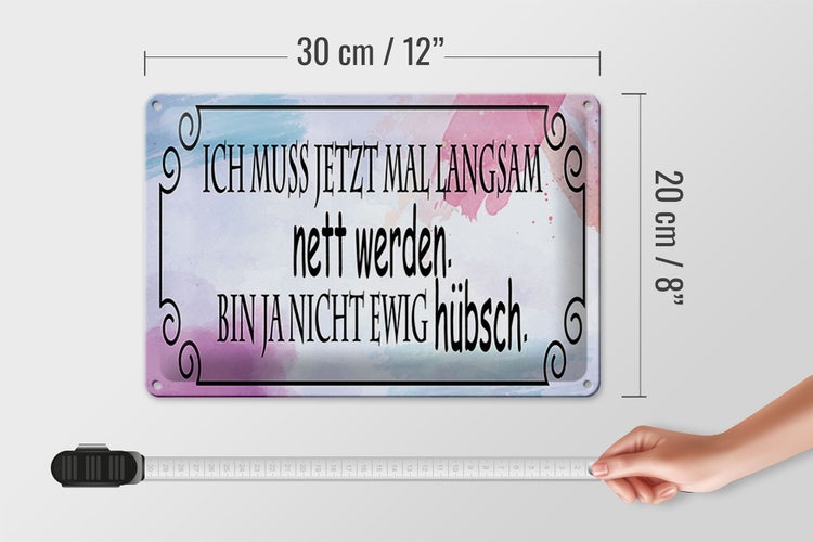 Blechschild Spruch 30x20cm ich muss mal langsam nett werden