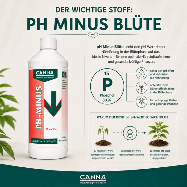 Canna pH Minus Blüte zur Senkung des pH-Wertes in der Blütephase für eine optimale Nährstoffaufnahme und gesunde, kräftige Pflanzen.