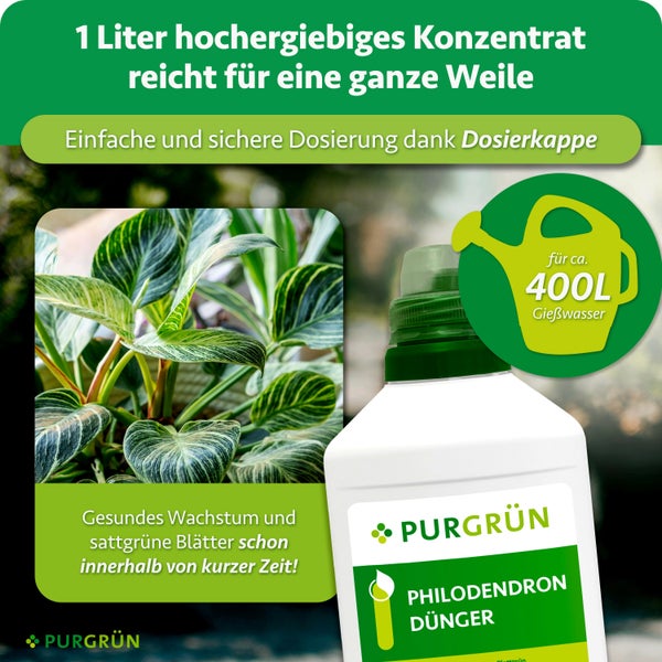 Eine Flasche PURGRÜN Philodendron Dünger Konzentrat mit Dosierkappe für gesundes Wachstum und satte Blattfärbung.