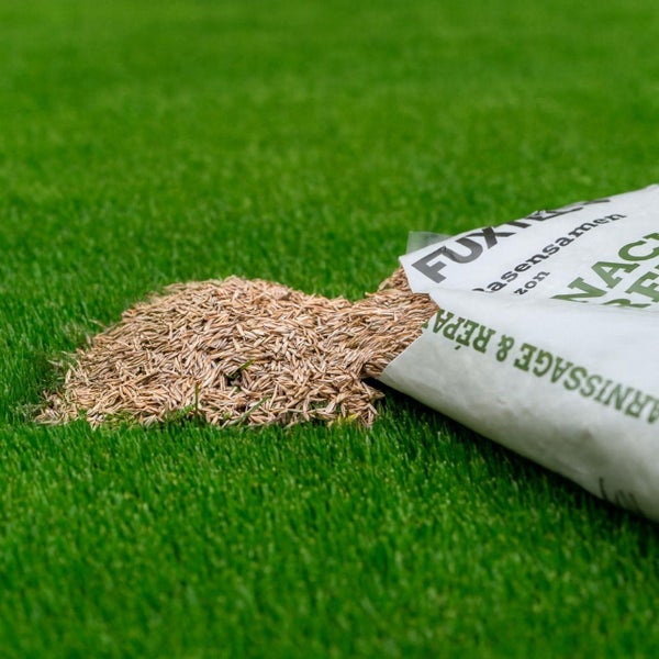 Rasensamen mit Verpackung auf Rasen