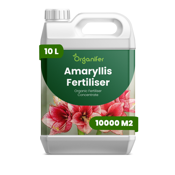 Organifer Amaryllis Dünger, organisches Düngerkonzentrat im 10 Liter Kanister für bis zu 10000 Quadratmeter.