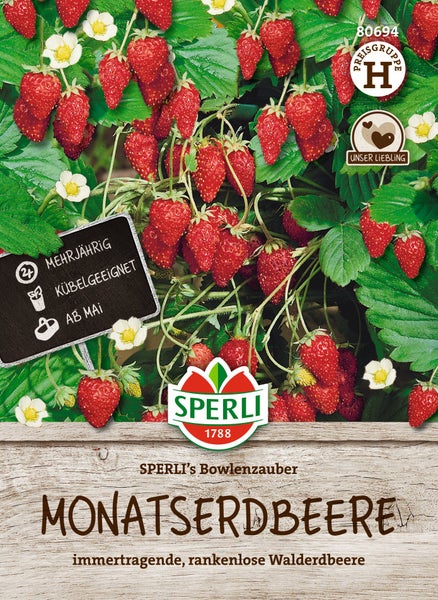 Saatgut SPERLI Monatserdbeere Bowlenzauber, immertragende und rankenlose Walderdbeere für den Anbau im Kübel oder Garten.
