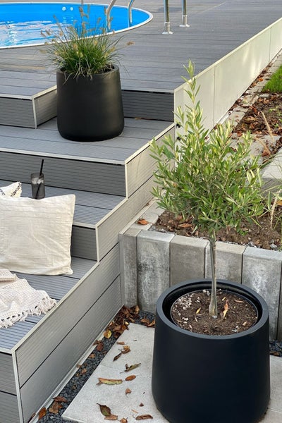 Moderne Gartengestaltung mit grauen WPC-Dielen, runden schwarzen Pflanzkübeln mit Olivenbaum und Ziergras neben einem Pool.