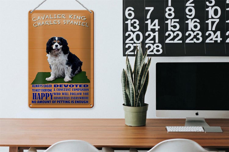 Blechschild Spruch 20x30cm Cavalier King Charles Spaniel orange