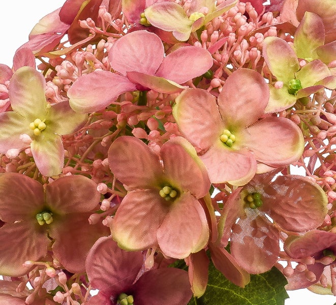 Künstliche Hortensie in Rosa mit Blüten und Knospen.