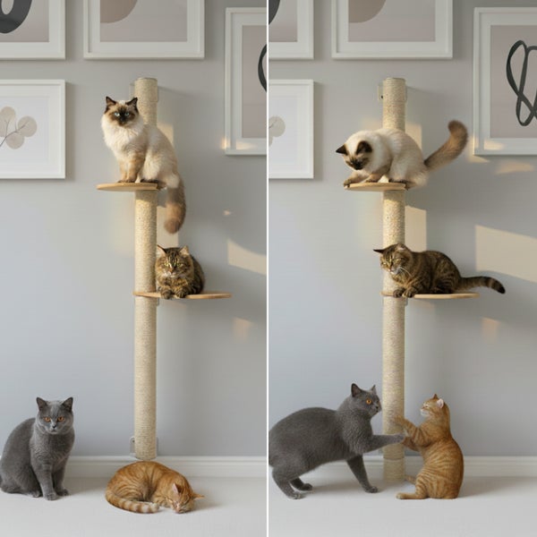 Wandmontierter Kratzbaum mit Sisalsäule und zwei Holzplattformen, auf dem Katzen spielen und ruhen, geeignet zur platzsparenden Katzenkletterwand.