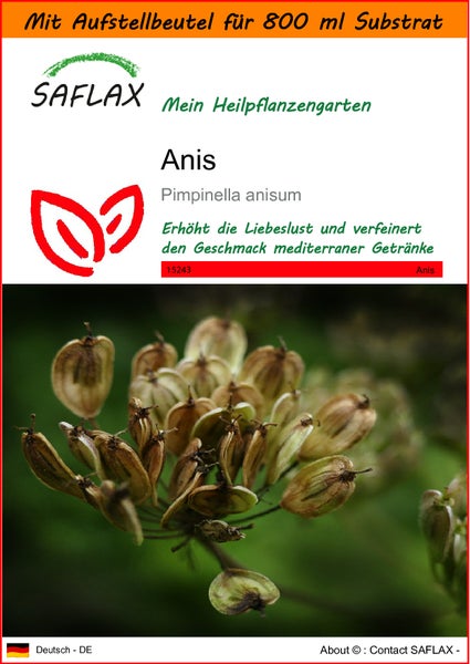 SAFLAX Garden in the bag - Anis - Pimpinella anisum - 200 Samen - Mit Anzuchtsubstrat im praktischen, selbst aufstellenden Beutel