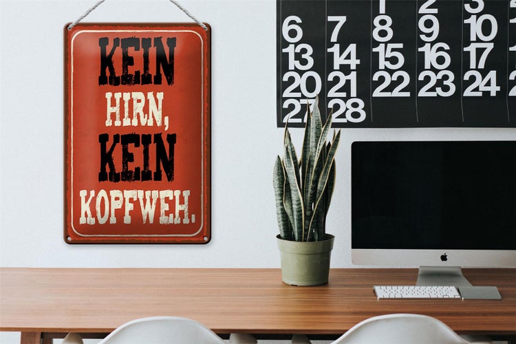 Blechschild Spruch 20x30cm kein Hirn kein Kopfweh