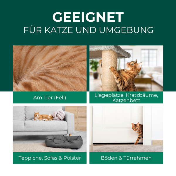 Silberkraft Milbenspray Katzen 500 ml, Abwehrmittel gegen Grabmilben & Herbstgrasmilben,  Anti-Milben-Mittel für Katzenfell, Schlafplätze und Umgebung