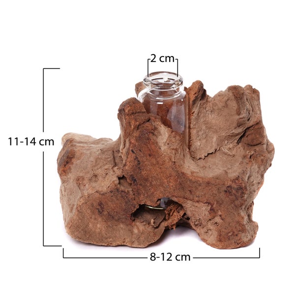 Vase Yuma  13x11 cm, Wurzelholz, mit Reagenzglas-Einsatz naturfarben
