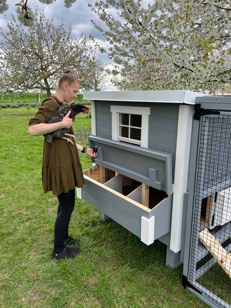 Hühnerstall Mitte EZ Chicken Home  1,68m²  127 x 133 x 158 cm Grau hergestellt in EU
