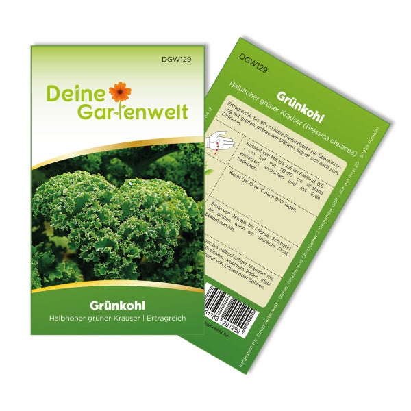 Grünkohl Halbhoher grüner Krauser Samen von Deine Gartenwelt