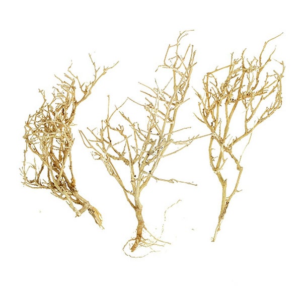 Drei verzweigte Wurzeln aus Naturholz für Aquarien oder Terrarien.