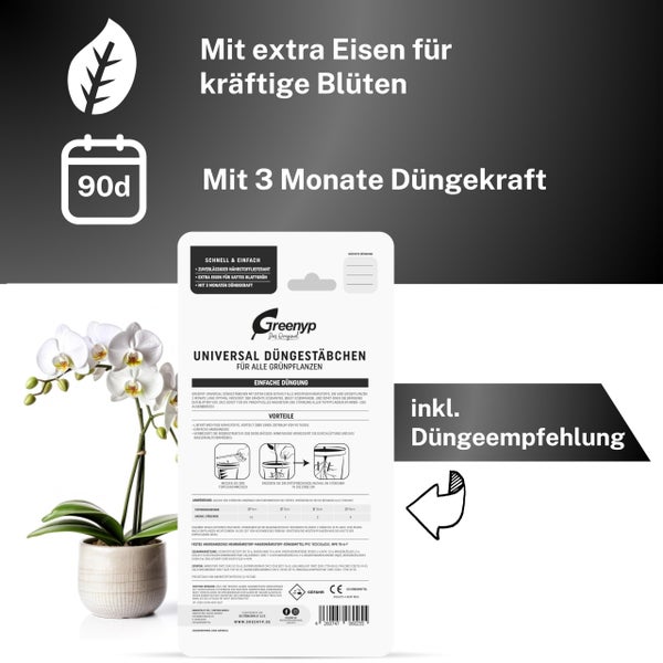 Greenyp 60x Orchideen Düngestäbchen I Universal NPK Orchideendünger für kraftvolle Blüten I Langzeitdünger mit Extra Eisen und 3 Monate Düngekraft.