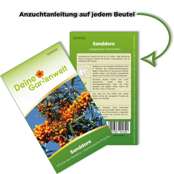 Deine Gartenwelt Samentüte für Sanddorn, Vorderseite und Rückseite mit Anzuchtanleitung.