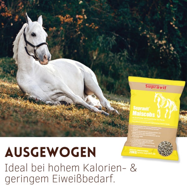 Ein weißes Pferd liegt auf einer Wiese neben einem Sack Supravit Maiscobs Pferdefutter.