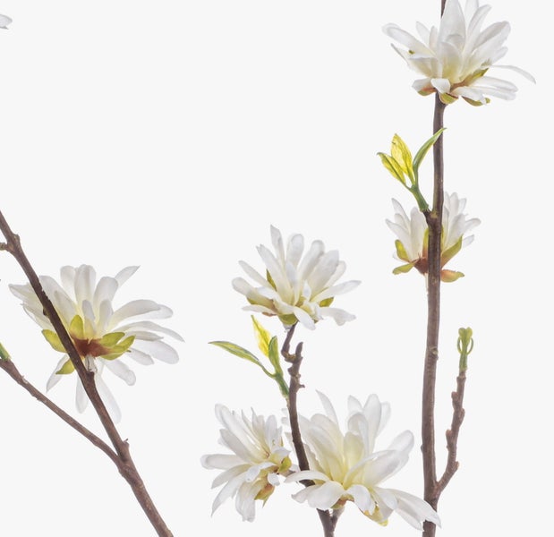 Künstlicher Zweig Zaubernuss ZAVNER mit Blüten, weiß, 110cm - Deko Zaubernusszweig