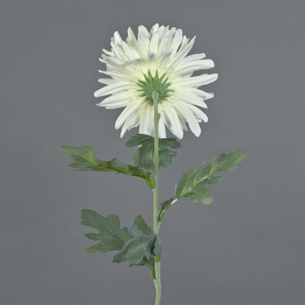 Weiße künstliche Chrysantheme mit grünem Stängel und Blättern, Rückansicht.