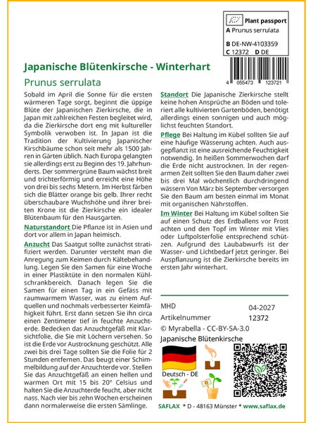 SAFLAX Garden in the bag - Japanische Blütenkirsche - Prunus serrulata - 30 Samen - Mit Anzuchtsubstrat im praktischen, selbst aufstellenden Beutel