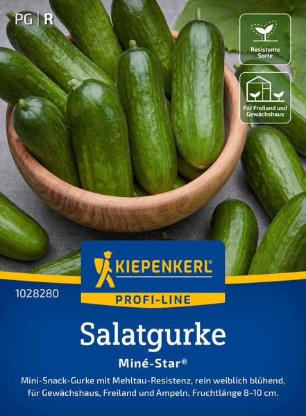 Kiepenkerl Profi-Line Salatgurke Mine-Star Samen für Snackgurken mit Mehltauresistenz für Gewächshaus und Freiland, 8 bis 10 Zentimeter lang.