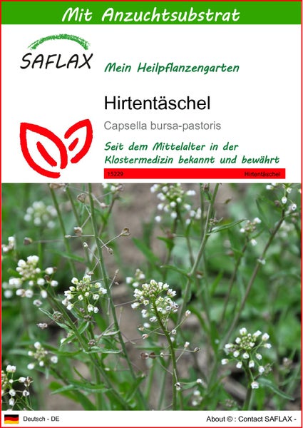 SAFLAX  - Hirtentäschel - Capsella bursa-pastoris - 1000 Samen - Mit keimfreiem Anzuchtsubstrat