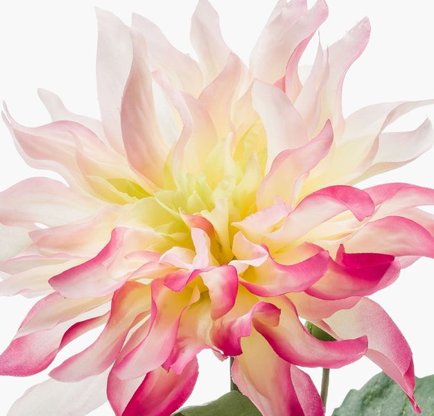 Künstliche Dahlienblüte mit mehrlagigen, gewellten Blütenblättern.