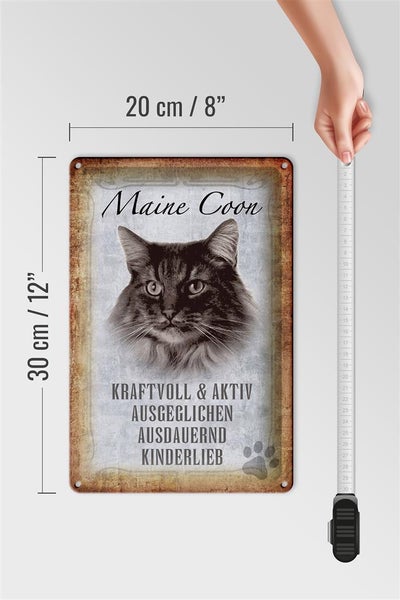 Blechschild Spruch 20x30cm Maine Coon Katze aktiv Schild