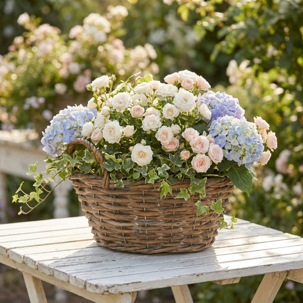 Ein Weidenkorb gefüllt mit Rosen Hortensien und Efeu auf einem weißen Holztisch in einem Garten.