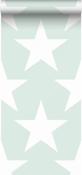 Sanders und Sanders Tapete Sterne Mintgrün - 53 cm x 10,05 m - 935258