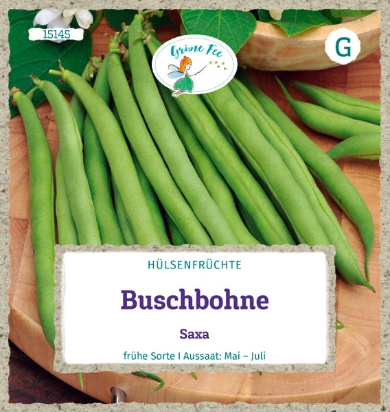 Buschbohne Saxa von Grüne Fee, eine frühe Sorte von Hülsenfrüchten zur Aussaat von Mai bis Juli, dargestellt als frische Bohnenschoten. Grüne Fee Logo.