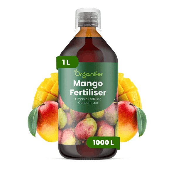 Organifer Mango Dünger, 1 Liter organisches Düngerkonzentrat in einer braunen Flasche mit Messkappe und Mango-Abbildung.