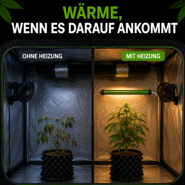 Vergleichsbild einer Growbox mit und ohne Pflanzenheizung zur Veranschaulichung des Wachstumsunterschieds bei Pflanzen in Pflanztöpfen.