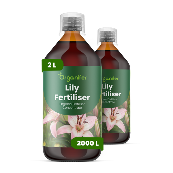 Organifer Lilien-Dünger Konzentrat, organischer Flüssigdünger für Lilien, 10 Liter Kanister für 10000 Quadratmeter.