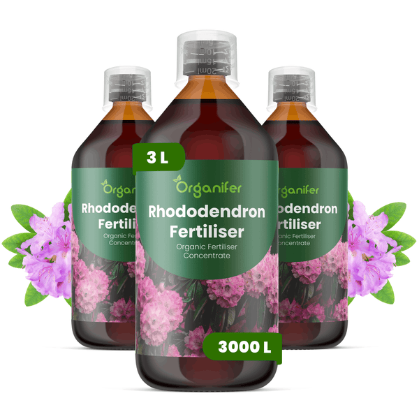 Drei Flaschen Organifer Rhododendron Dünger Bio Flüssigdünger Konzentrat 3 Liter ausreichend für 3000 Liter Gießwasser