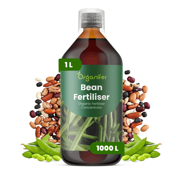 Organifer Bean Fertilizer, organisches Düngerkonzentrat in der 1 Liter Flasche für 1000 Liter, mit Messkappe und Bohnen-Abbildungen.