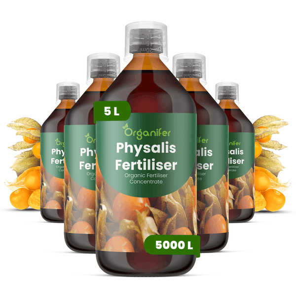 Organifer Physalis Dünger, organisches Düngerkonzentrat in 5 Liter Flaschen, Inhalt ausreichend für 5000 Liter.