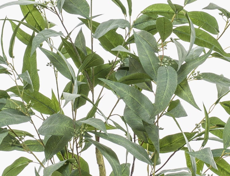 Grüne künstliche Eukalyptusblätter an Zweigen.