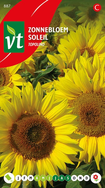 Sonnenblumen Topolino Samenpackung