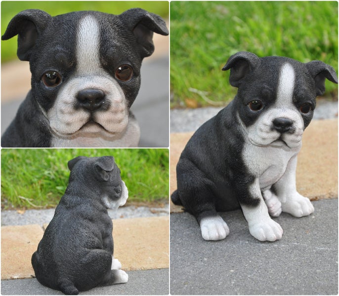 Dekofigur Gartenfigur Boston Terrier