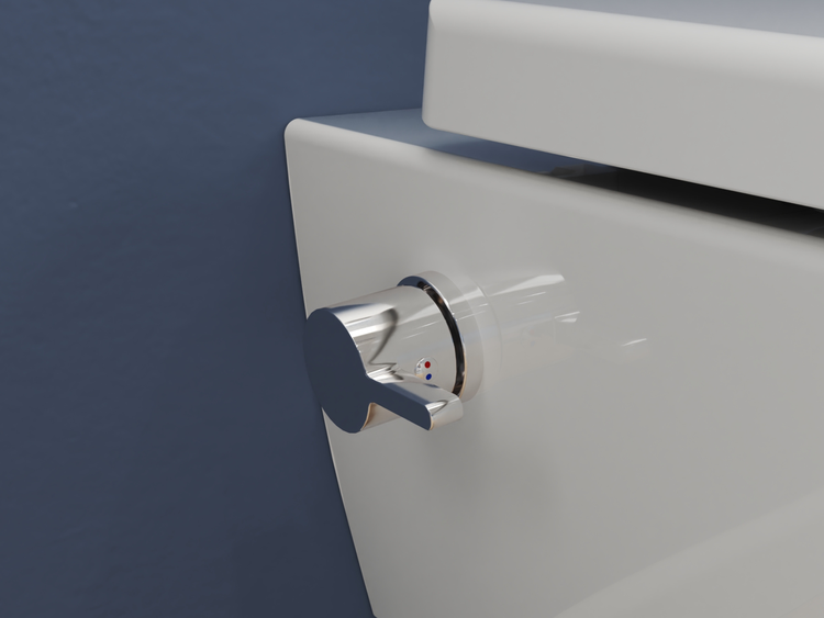 SSWW Taharet Dusch-WC CT2019V-B – Bidetfunktion – Softclose – Wandmontage