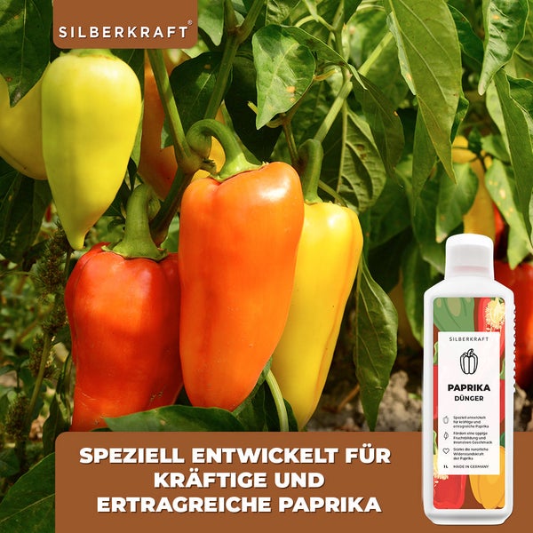 SILBERKRAFT Paprika Dünger – Für starke Pflanzen – NPK Flüssigdünger – 1 Liter