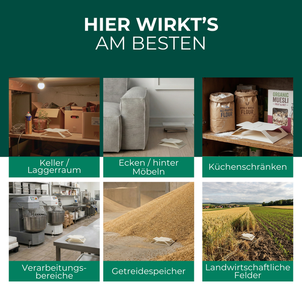 Anwendungsbereiche für Produkte: Keller, Ecken hinter Möbeln, Küchenschränke, Verarbeitungsbereiche, Getreidespeicher und landwirtschaftliche Felder.